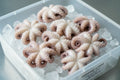 Frozen baby octopus on ice in clear container, premium seafood for home cooking