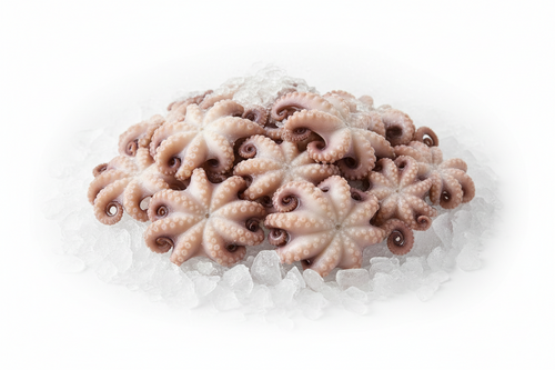 🐙 Frozen Baby Octopus (2 lb Bag) – Wild‑Caught, Tender & Ready to Cook