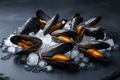 Fresh mussels on ice, showcasing vibrant orange meat and glossy shells for premium seafood dishes.