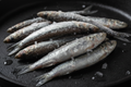 Fresh sardines on black skillet with ice, ready for cooking