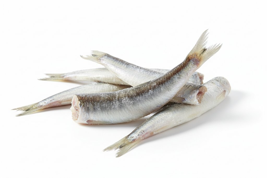 Frozen whole sardines with silver skin, ideal for home cooking and seafood recipes