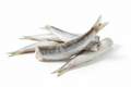 Frozen whole sardines with silver skin, ideal for home cooking and seafood recipes