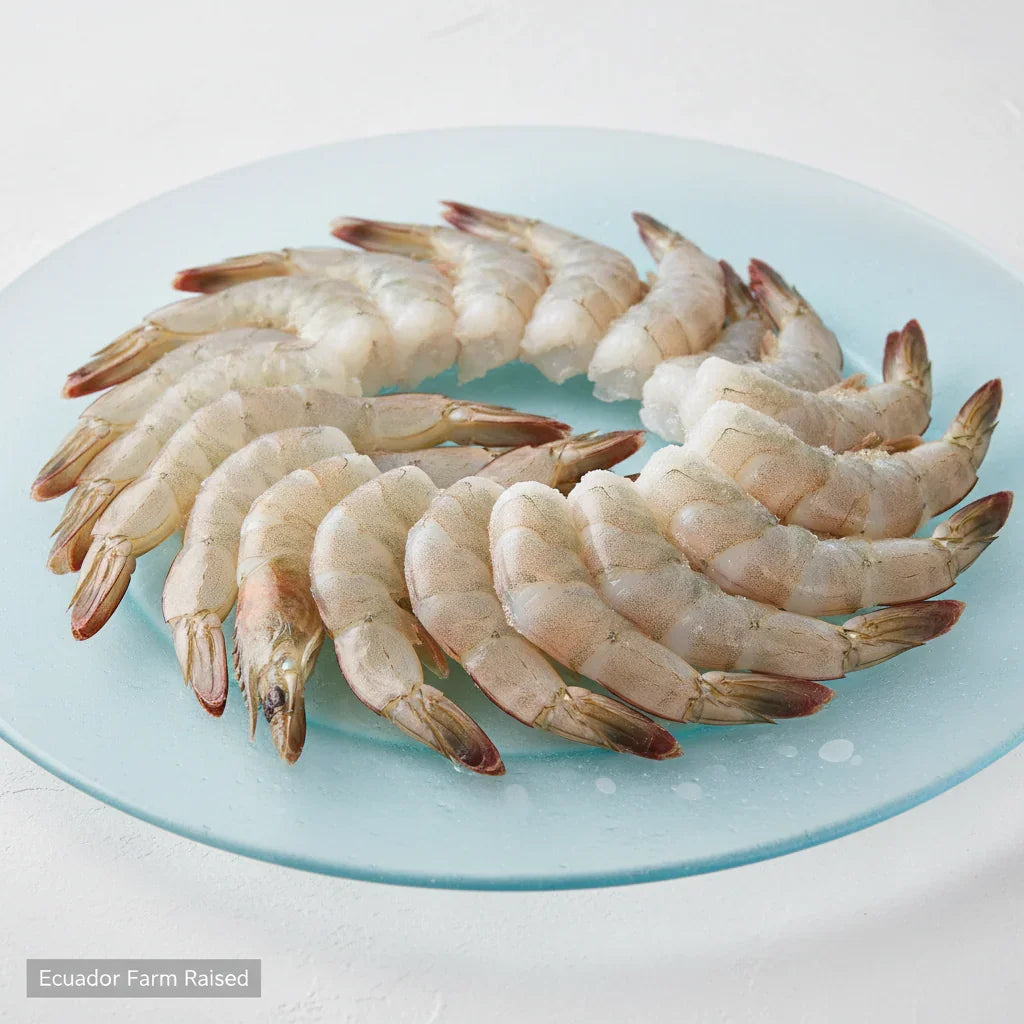Ecuador farm-raised raw shrimp on a light blue plate, fresh and ready for cooking
